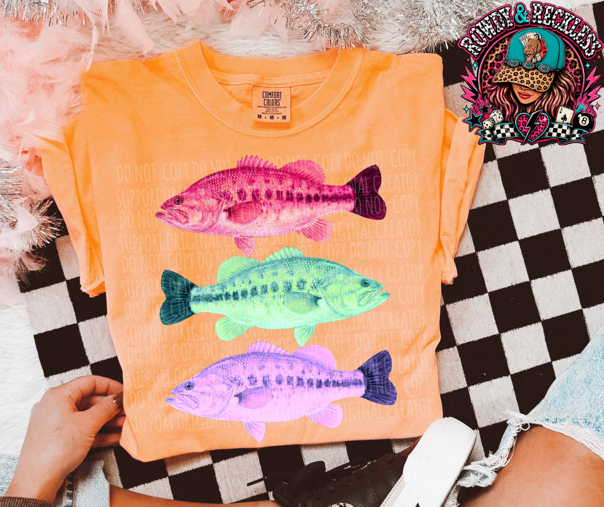 Colorful fish