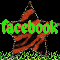 Fb